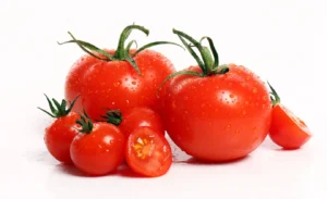 tomatoes 144627 15411 - DailyNews24Live.com