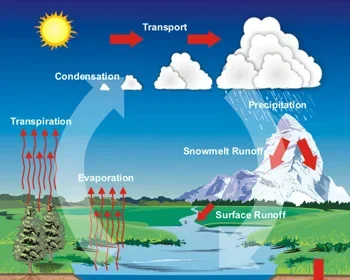 water cycle 350 - DailyNews24Live.com